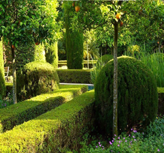 Denia Albarda Gardens
