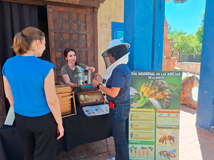 Terra Natura Benidorm World Bee Day Terra Natura Benidorm world bee day