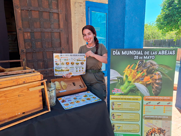 terra natura benidorm world bee day 1